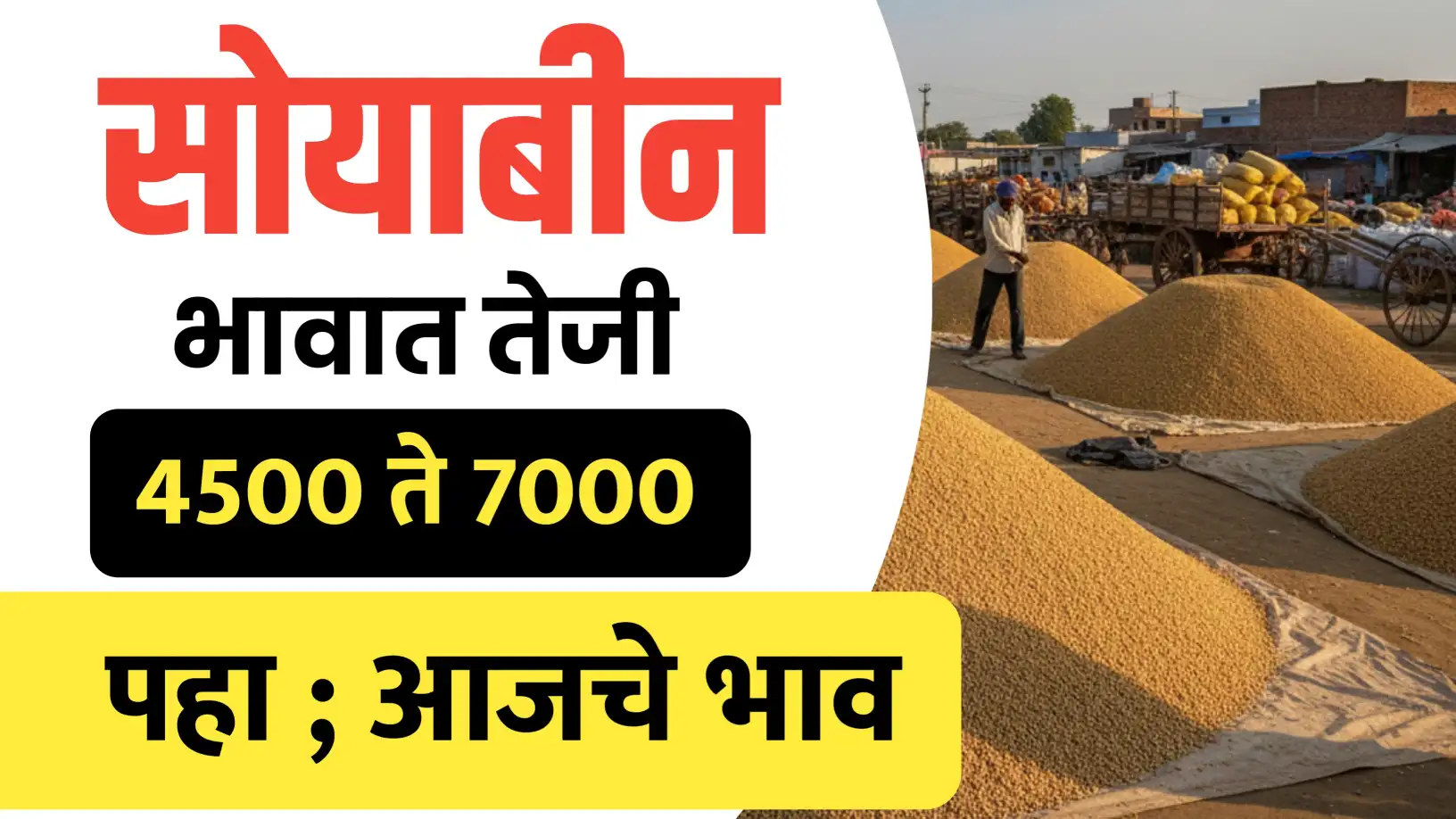 सोयाबीन दरात पुन्हा तेजी