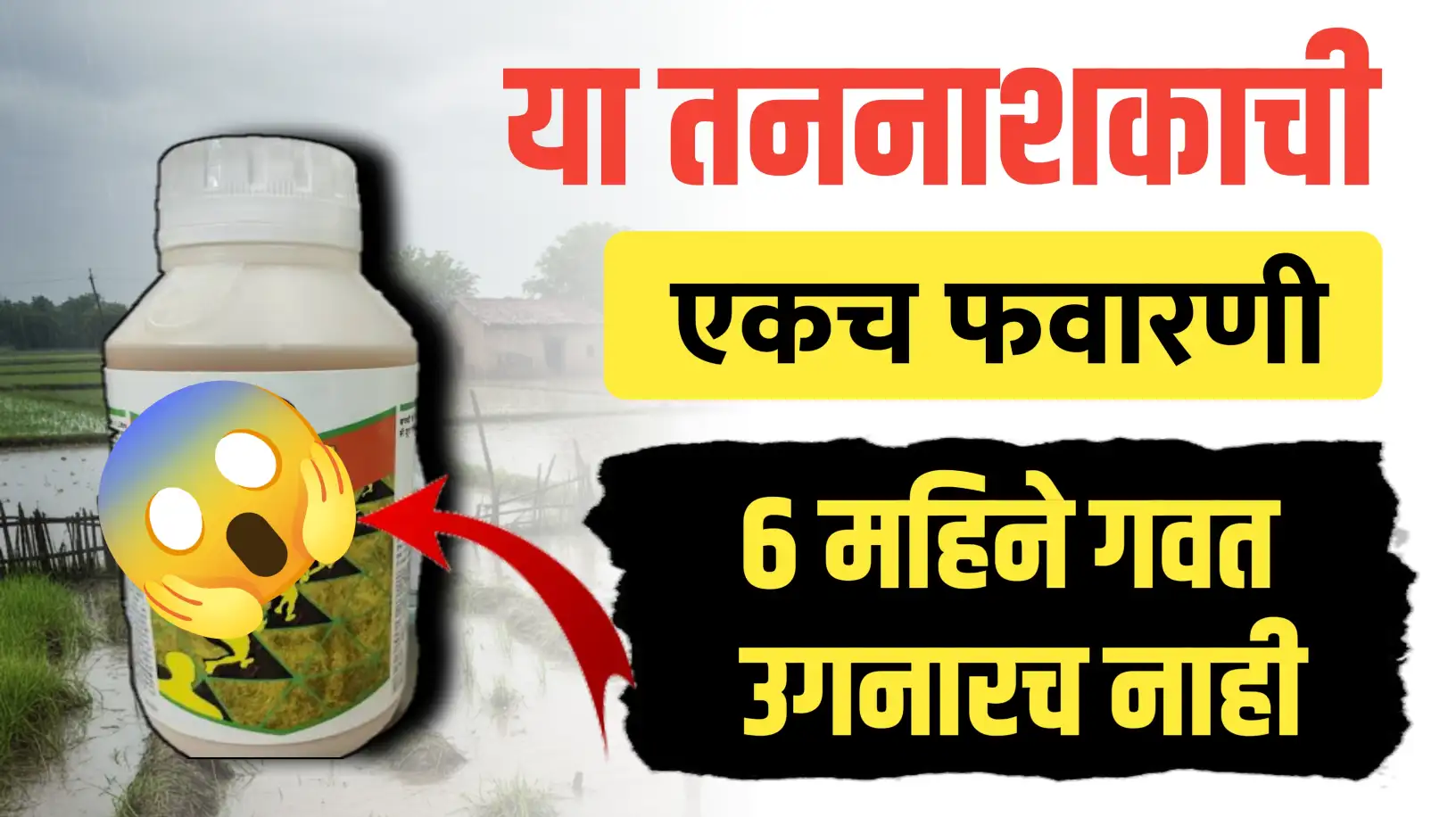 या तननाशकाने एका