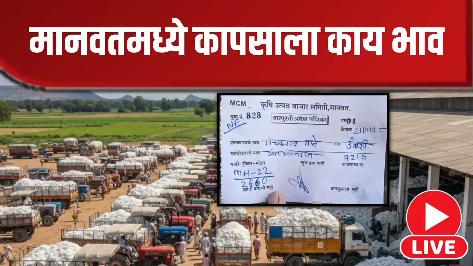 मानवतमध्ये कापसाला मिळतोय एवढा भाव, पहा पावत्या