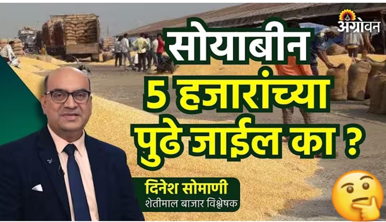 सोयाबीन 5 हजारांच्या