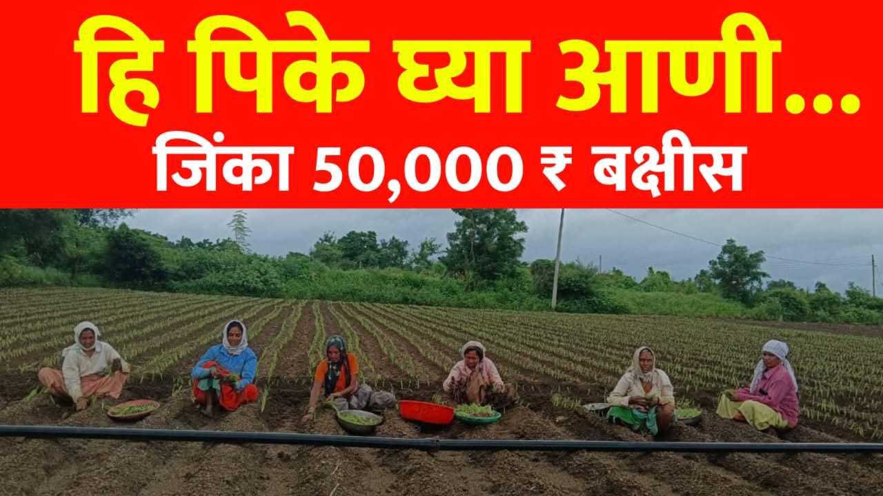 शेतकऱ्यास ₹५०,००० बक्षीस