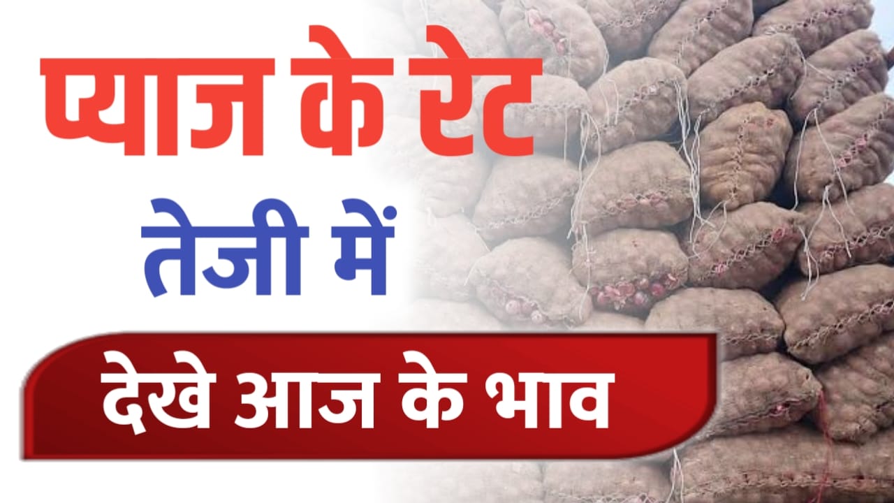 कांदा बाजारभाव